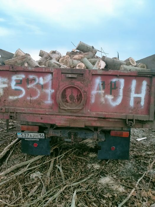 Дрова чурки тополь