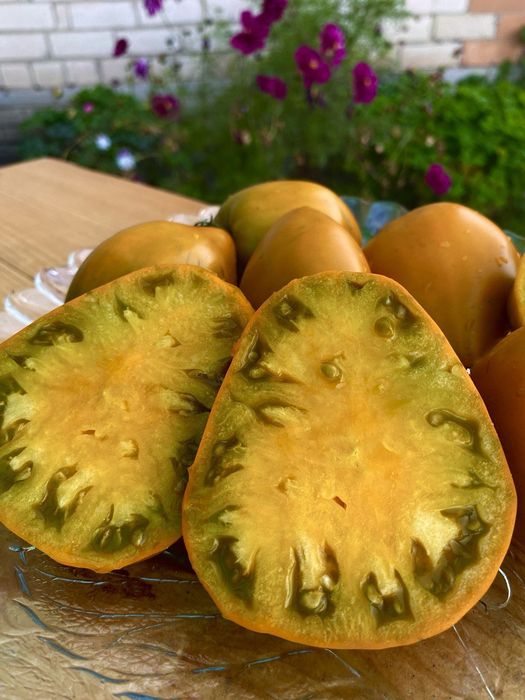 Коллекционные сорта томатов