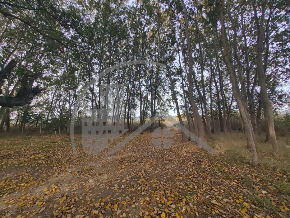 Продава се Парцел в с. Тополи, Област Варна - 5639 кв.м за 6 €/кв.м - Снимка #3