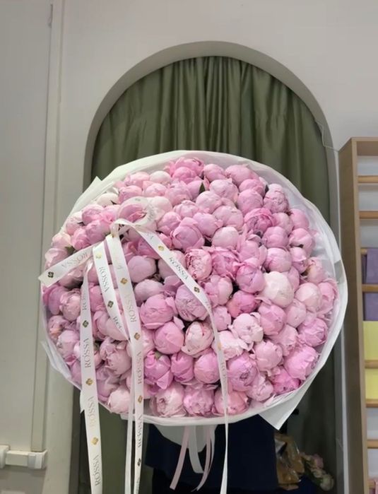 Пионы свежие, нераскрытые  101 шт