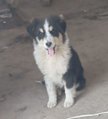 В самые добрые ручки