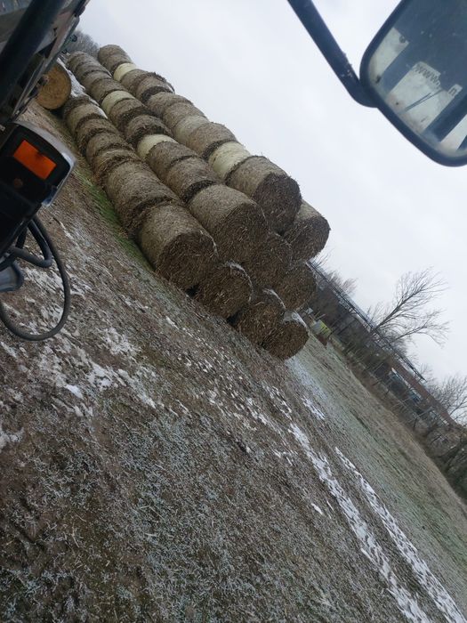 Vand baloti de tulei