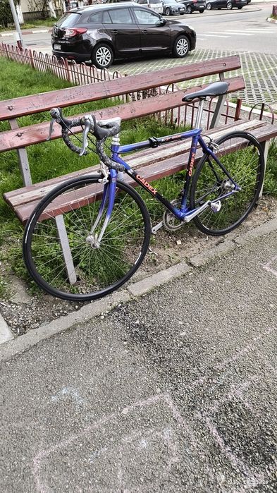 Cursiera Giant carbon