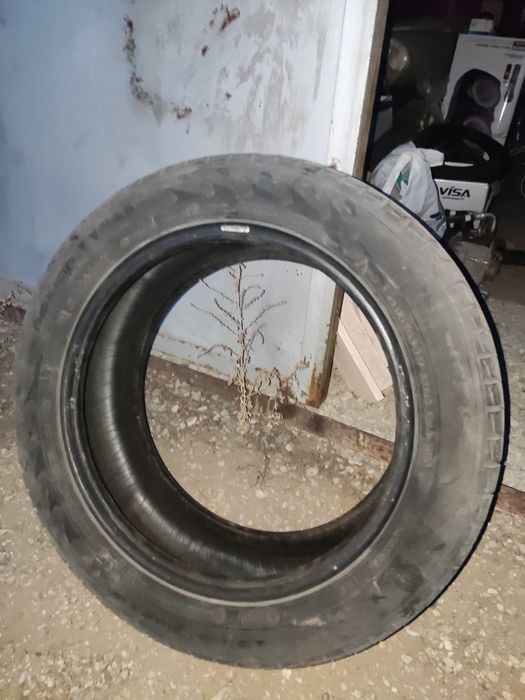 Продам шины 205 * 55 * 16