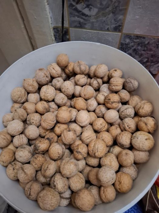 Продам грецкие орехи