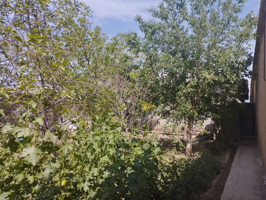 уй сотилади...7,5 сотих. Гулистон шаҳар, улуғ йул МФЙ. Илк қадам 16 у