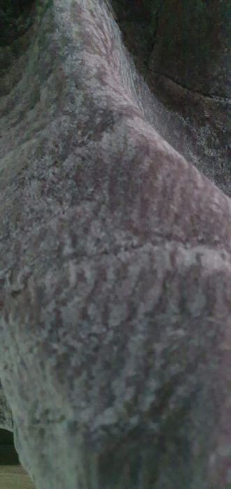 Шуба мутоновая с отделкой норка