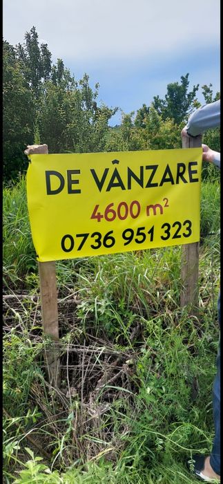 Teren de vanzare