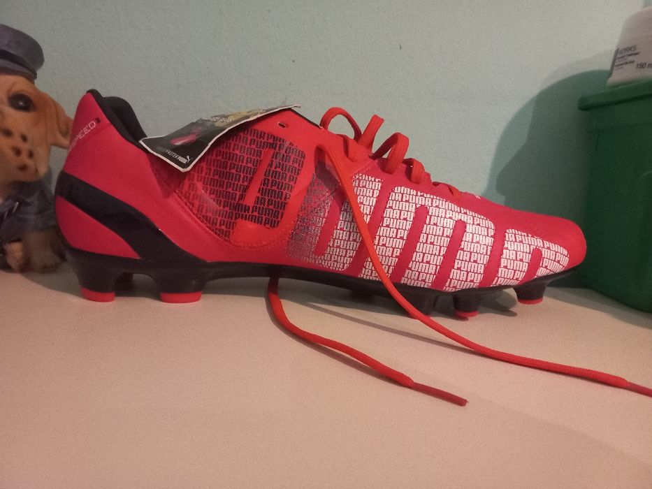 Ghete Puma evospeed roz