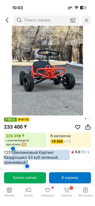 Картинг бензиновый