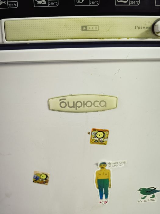 Холодильник Бирюса