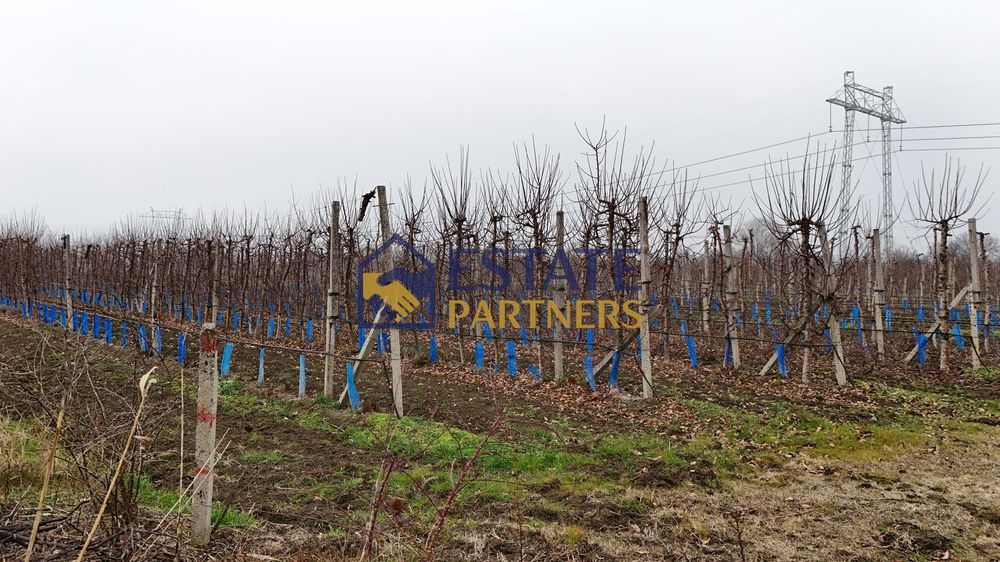 Парцел в Пловдив, област-с.Брестник площ 1401 цена 35025