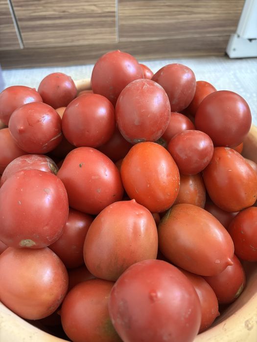 Продам помидоры со своего огорода
