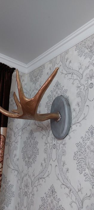 Продам оленя рога две штуки