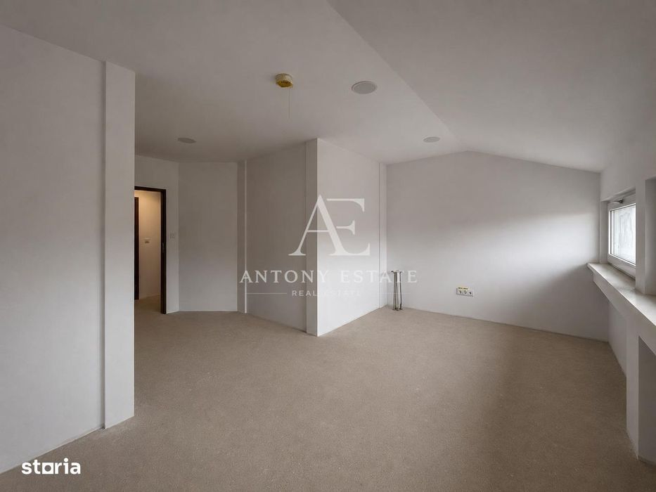 Antony Estate | Chirie Sp Comercial Central - Oradea