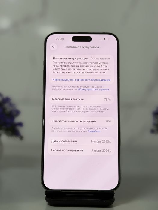 iPhone 15 Pro Max, 256 GB