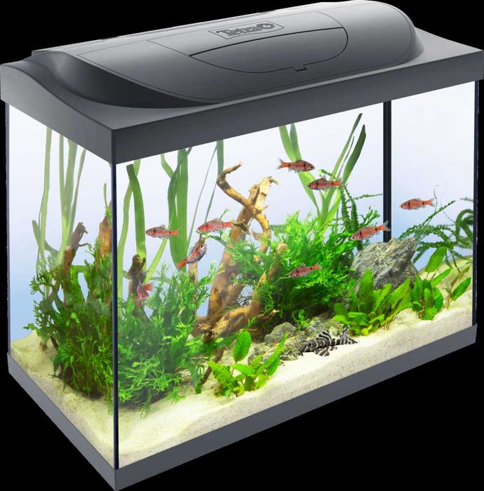 Аквариум Tetra Starter Line LED 80L