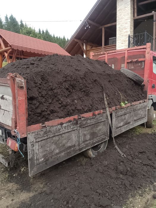 Mraniță plus pământ negru