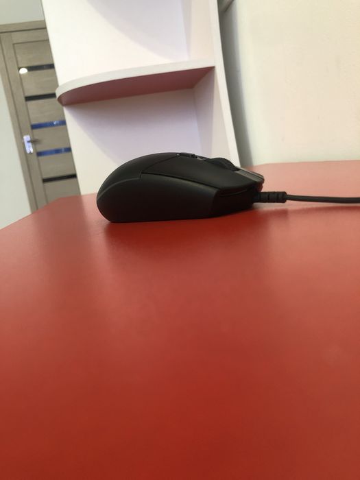 Мишка срочна продам саудасы бар