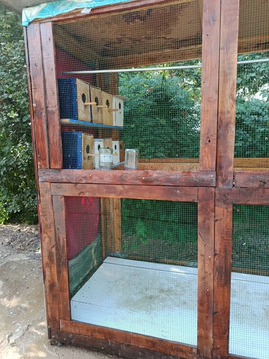 Попугай учун вольер тайер