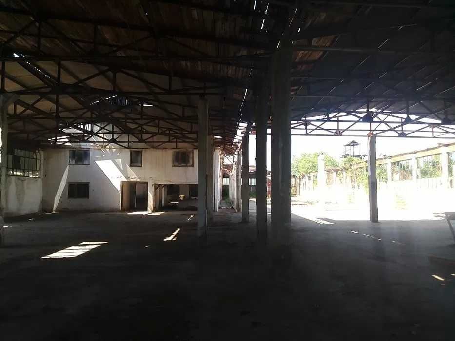 Patarlagele, fosta fabrica cherestea, 8506mp cc teren, Buzau cc, Valea Viei