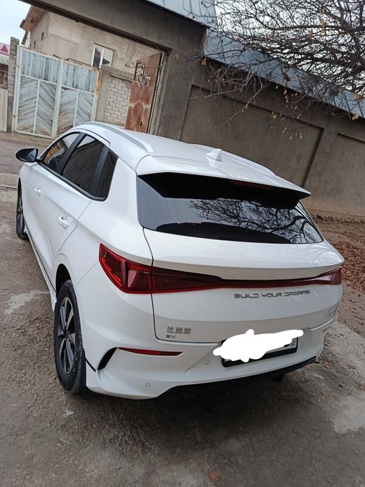 byd e2 luxury 2024