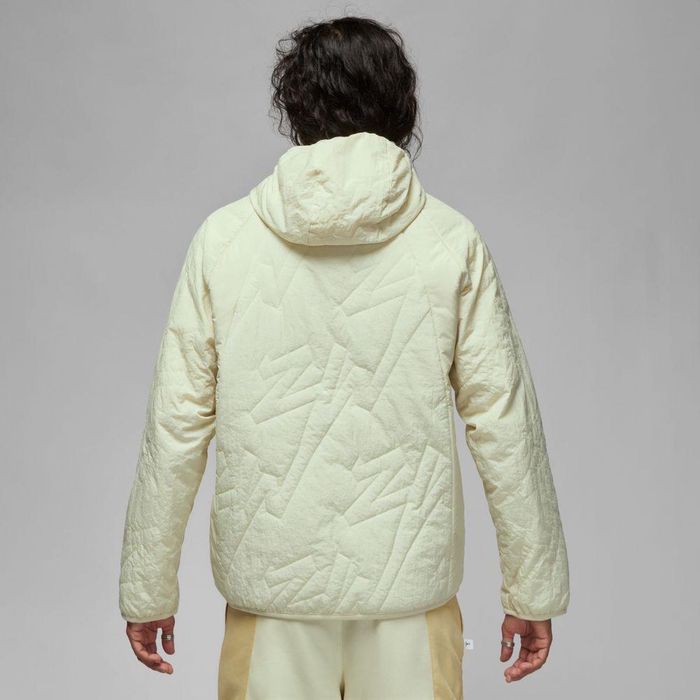 Яке Nike Jordan X Zion