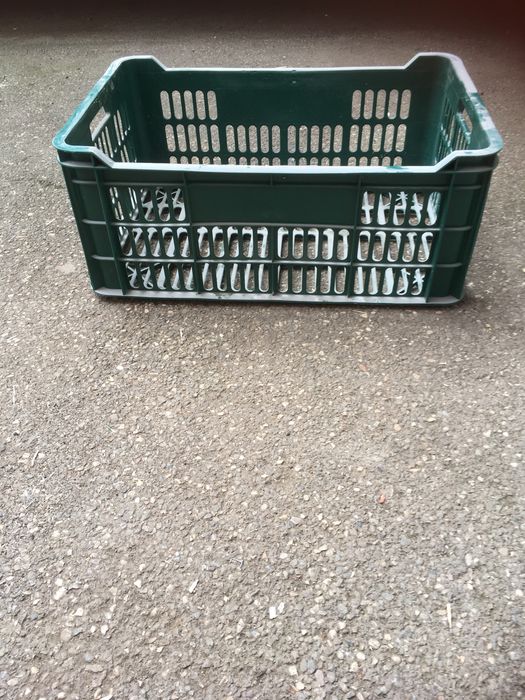 Vand lazi plastic folosite si tavi pentru cozonaci