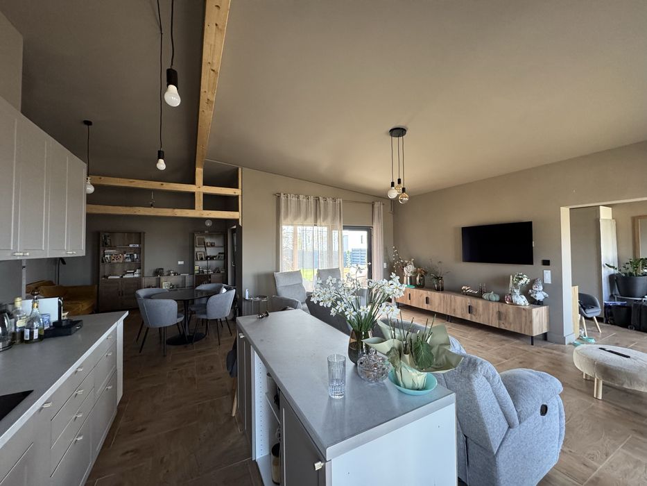 Bucium Barnova Visan, Casa Parter living kitchen open space, 3 dormitoare birou 2  bai dressing camara, hol mare intrare, curte 1000 mp sau 1500 mp