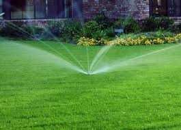 Зелёный газон круглый год — мы всё сделаем за вас - от 15 0000 сум