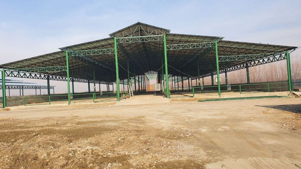 Kanteyner temirdan toyxona tom naves