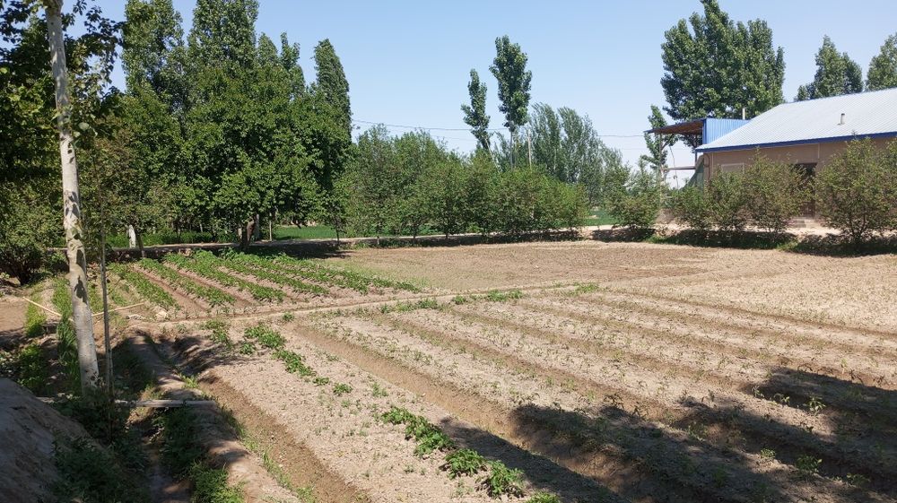 Яхши уй сотилади