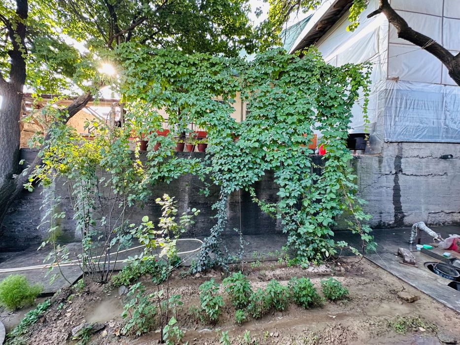 Srochno Sotiladi. 3 sotik 3 xona uyi bor qoshimcha 1 sotik bor