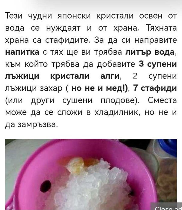 Японски кристали за камбуча!