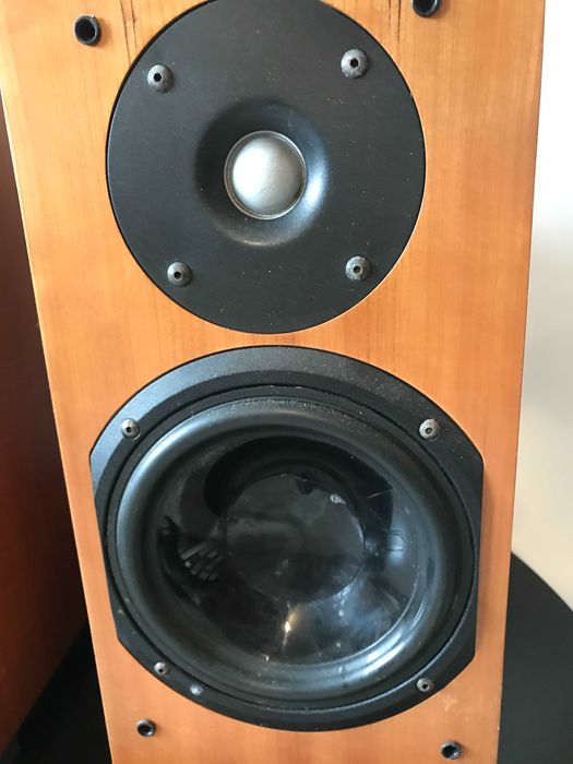 Chario Silverette 200 boxe