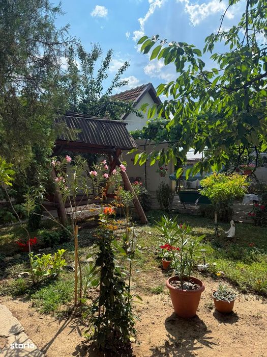 Gospodarie de vanzare in Ineu