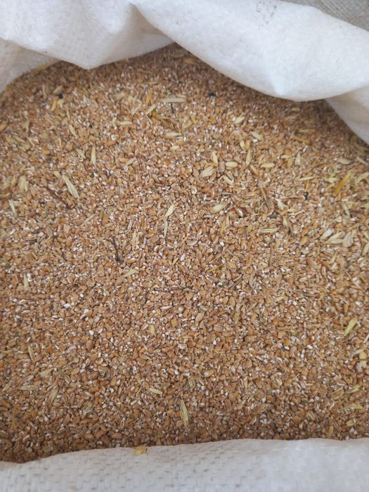 Продам зерноотходы