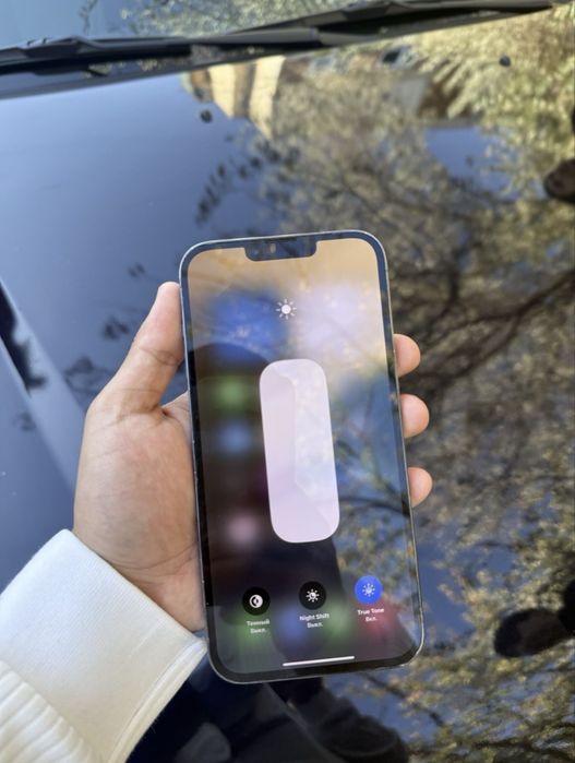 iPhone 13 Pro Max | 256GB