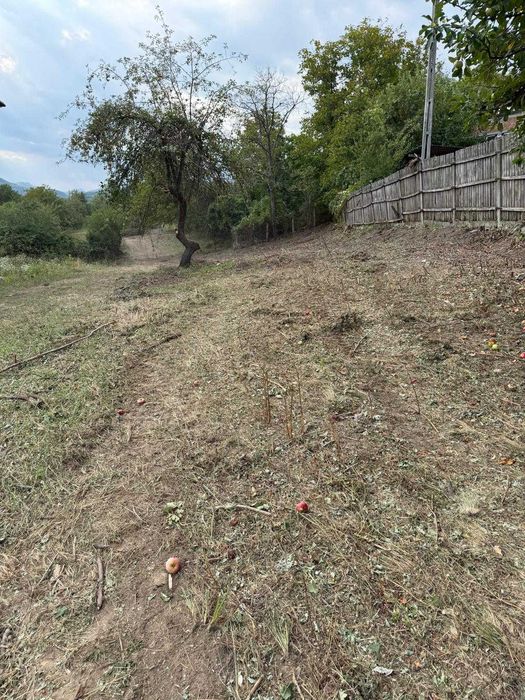 Teren de vanzare Sat Vladuceni Comuna Pausesti Maglasi 5000mp - Vedere 3