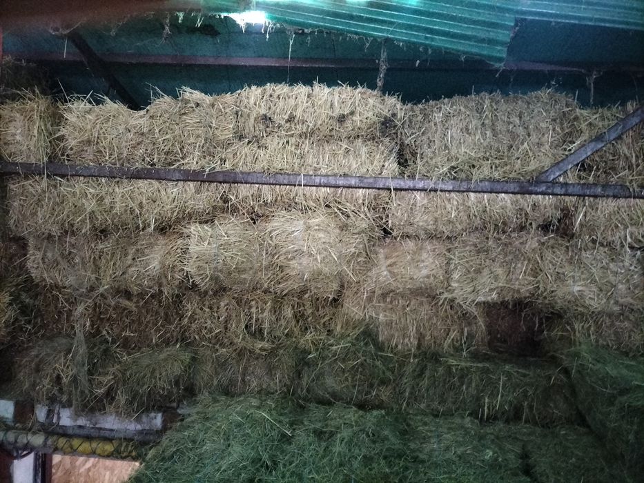 Baloți de paie !