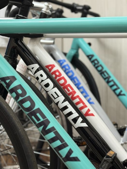 Fixed gear ARDENTLY