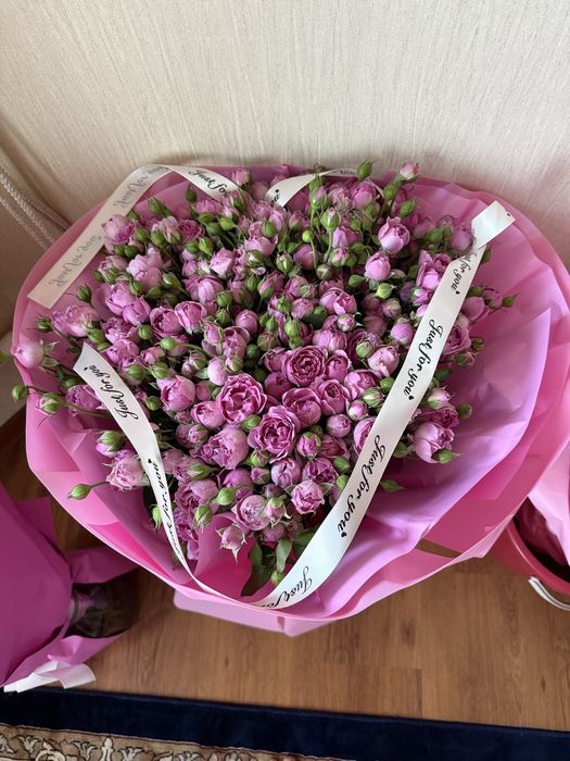 продам цветы за 17к  свежая, большая