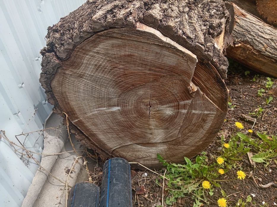 Продам Продам Продам