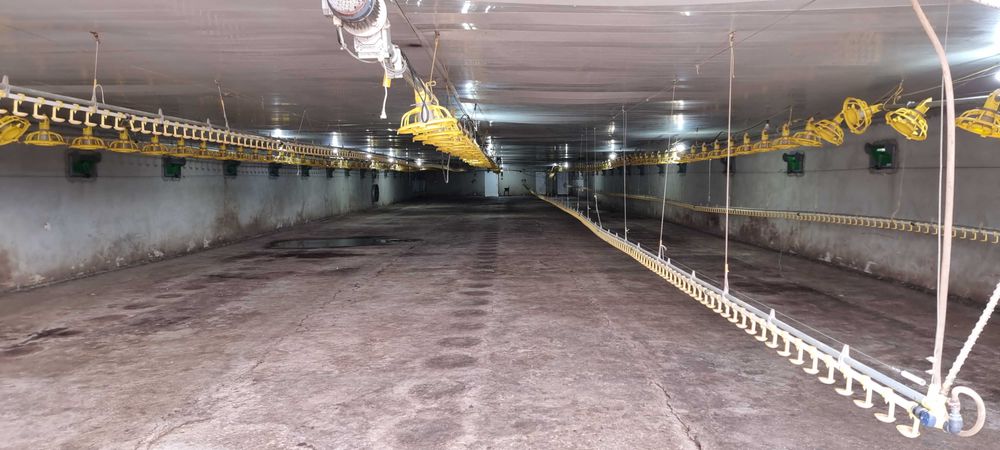 Продава се Промишлена сграда в с. Ушинци, Област Разград - 1620 кв.м за 189 €/кв.м - Снимка #2