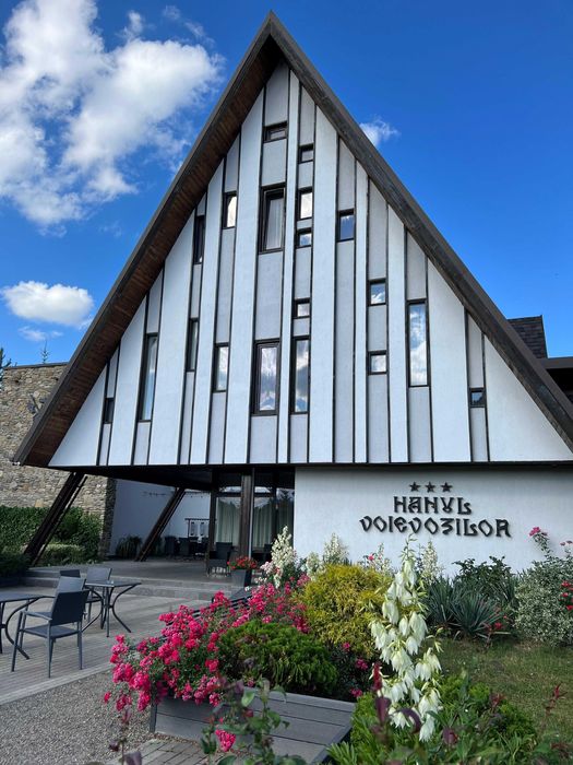 Pensiune agroturistica de vanzare in localitatea Horodnic de Sus -SV