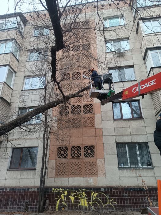 Ағаш кесу спил деревье