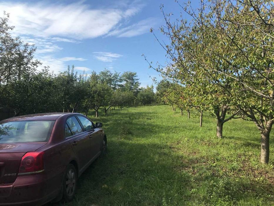 Teren de vanzare Iași Barnova