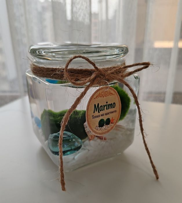 Marimo Топче на щастието