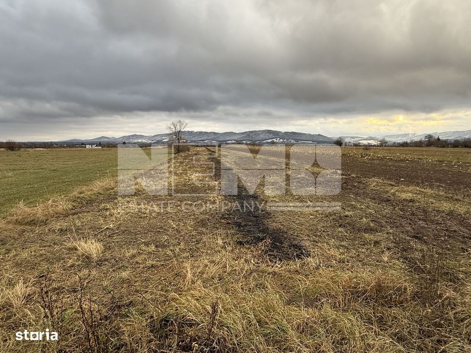 Teren 80 Ari | Vicovu de Sus – Bahna | Front 16.5