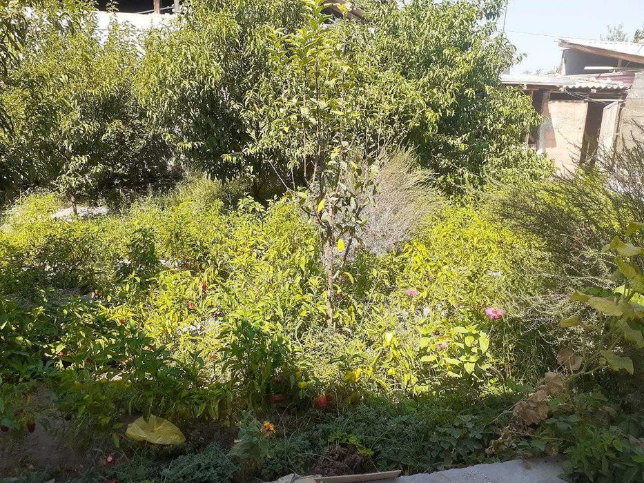 Ҳовли уй сотилади 4 сотих 6 та хона